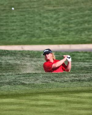 IMG_2728IMG_2728.jpg